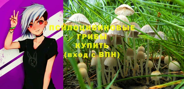 стаф Верхнеуральск