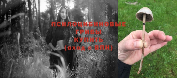 кокс Верея